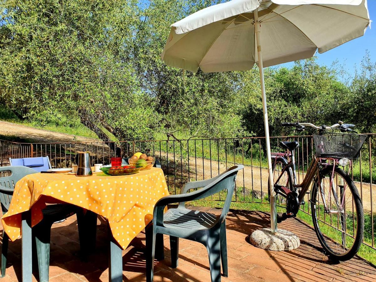 Residence Le Meridiane Siena Dış mekan fotoğraf